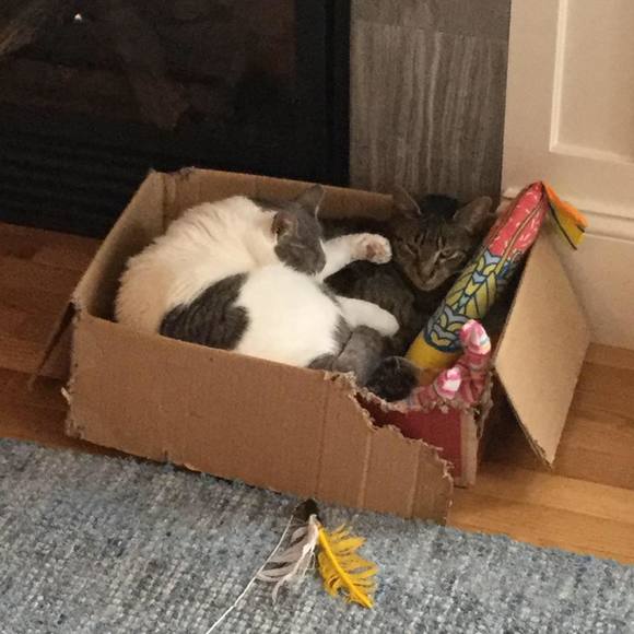 Meet your Posher, Kevin - Picture 1 of 1